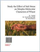 Study the Effect of Salt Stress on Morpho-Molecular Characters of Wheat